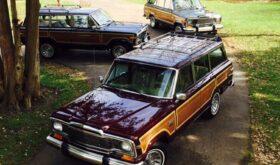 1981 Jeep Grand Wagoneer
