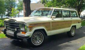 1987 Jeep Grand Wagoneer