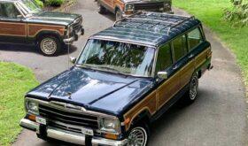 1988 Jeep Grand Wagoneer