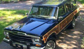 1989 Jeep Grand Wagoneer