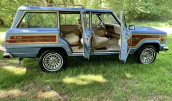 1989 Jeep Grand Wagoneer full