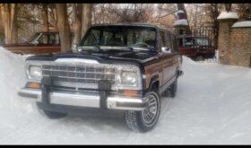 1990 Jeep Grand Wagoneer