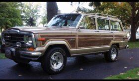 1990 Jeep Grand Wagoneer