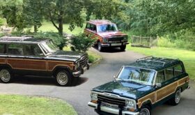 1989 Jeep Grand Wagoneer (202415)