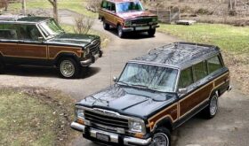 1989 Jeep Grand Wagoneer