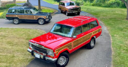 1987 Jeep Grand Wagoneer (8152025b)