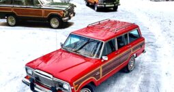 1984 Jeep Grand Wagoneer (8152025)