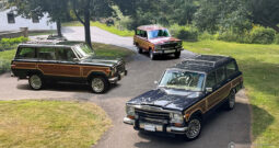 1989 Jeep Grand Wagoneer (081825)