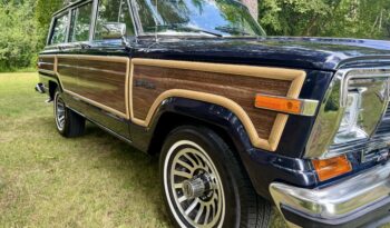 1989 Jeep Grand Wagoneer (081825) full