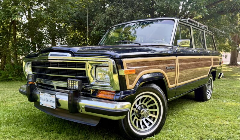 1989 Jeep Grand Wagoneer (081825) full
