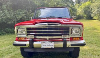 1987 Jeep Grand Wagoneer (8152025b) full