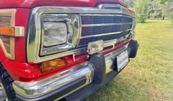 1987 Jeep Grand Wagoneer (8152025b) full
