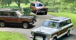 1991 Jeep Grand Wagoneer (1062025)