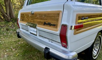 1989 Jeep Grand Wagoneer (20251016) full