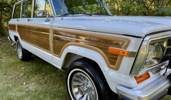 1989 Jeep Grand Wagoneer (20251016) full