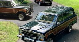 1991 Jeep Grand Wagoneer (112025B)