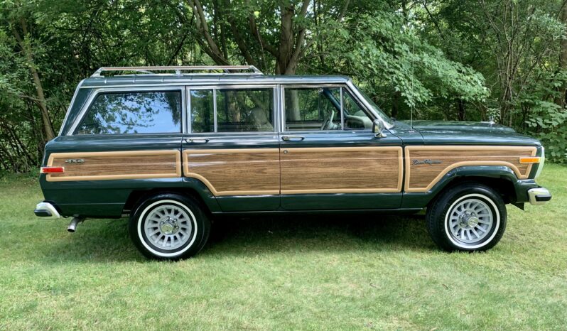 1991 Jeep Grand Wagoneer (112025B) full