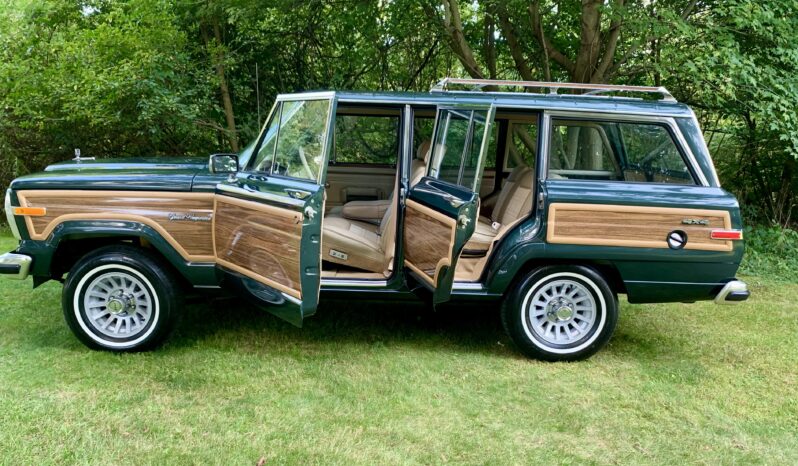 1991 Jeep Grand Wagoneer (112025B) full