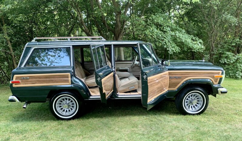 1991 Jeep Grand Wagoneer (112025B) full