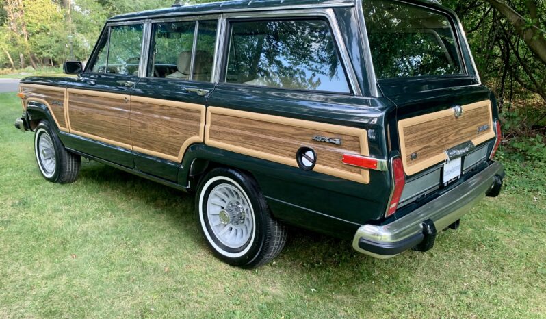1991 Jeep Grand Wagoneer (112025B) full