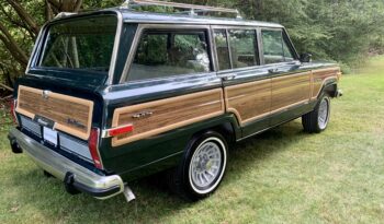 1991 Jeep Grand Wagoneer (112025B) full