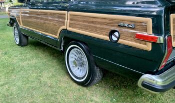 1991 Jeep Grand Wagoneer (112025B) full