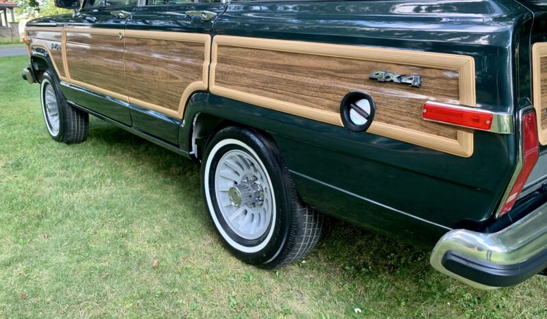 1991 Jeep Grand Wagoneer (112025B) full