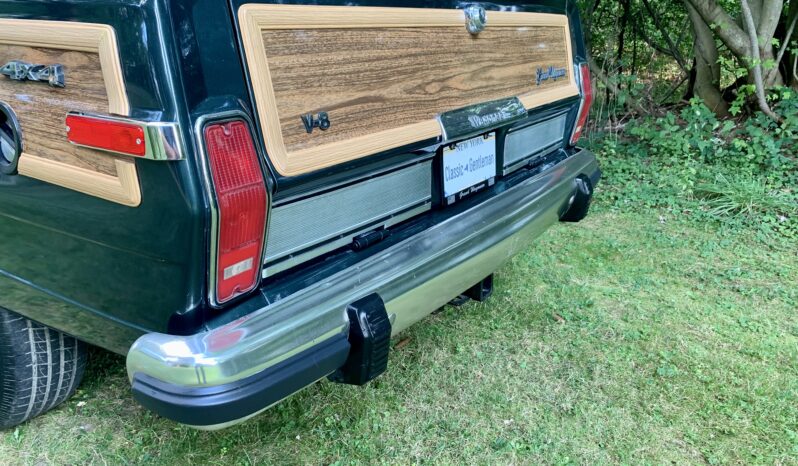 1991 Jeep Grand Wagoneer (112025B) full