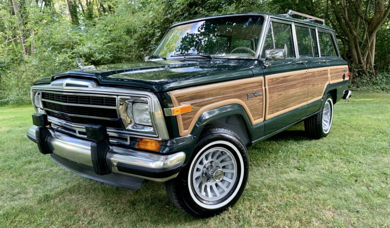 1991 Jeep Grand Wagoneer (112025B) full