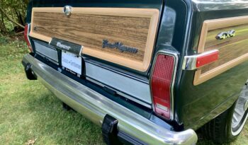 1991 Jeep Grand Wagoneer (112025B) full