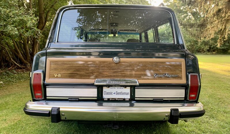 1991 Jeep Grand Wagoneer (112025B) full