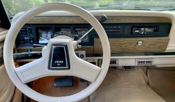 1991 Jeep Grand Wagoneer (112025B) full