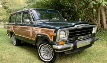 1991 Jeep Grand Wagoneer (112025B) full