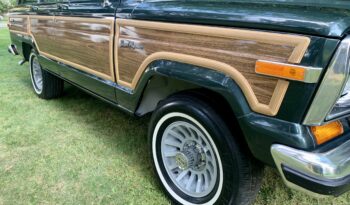 1991 Jeep Grand Wagoneer (112025B) full