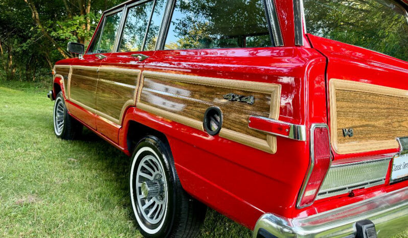 1991 Jeep Grand Wagoneer (25b) full
