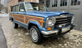 1989 Jeep Grand Wagoneer (20260304)