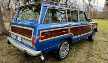 1988 Jeep Grand Wagoneer full