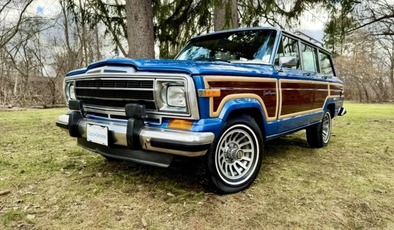 1988 Spinnaker Blue Metallic full