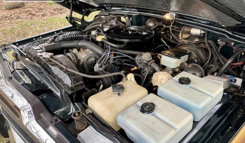 1991 Jeep Grand Wagoneer (25b) – Green full