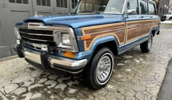 1989 Jeep Grand Wagoneer (20260304) full