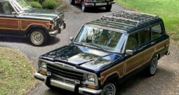 1991 Jeep Grand Wagoneer (25b)