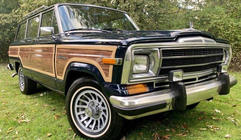 1991 Jeep Grand Wagoneer (25b) full