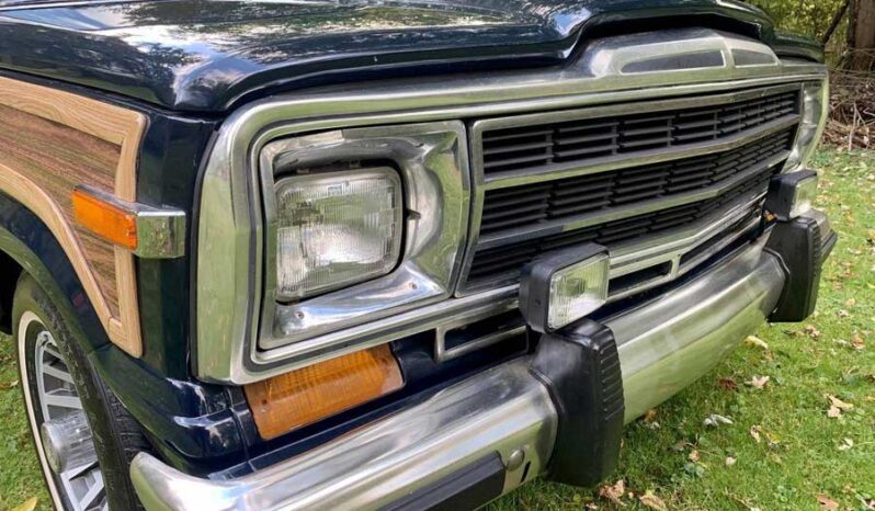 1991 Jeep Grand Wagoneer (25b) full