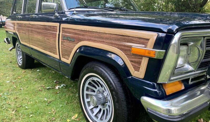 1991 Jeep Grand Wagoneer (25b) full