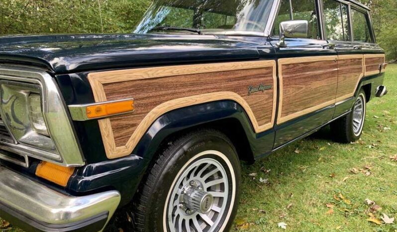 1991 Jeep Grand Wagoneer (25b) full