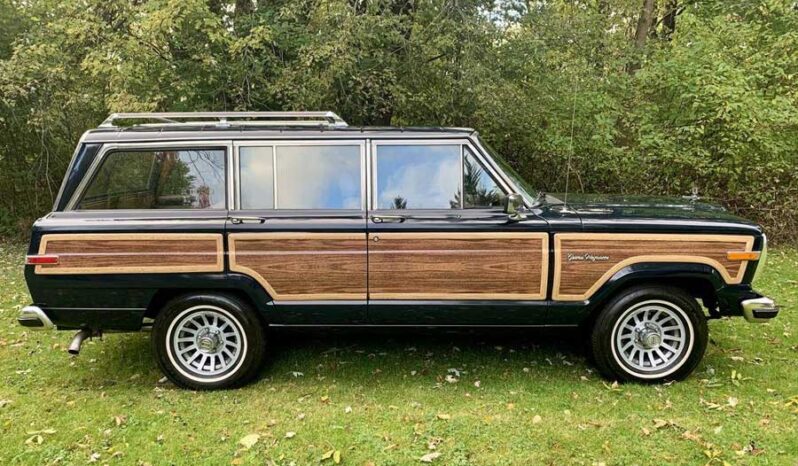 1991 Jeep Grand Wagoneer (25b) full