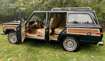 1991 Jeep Grand Wagoneer (25b) full