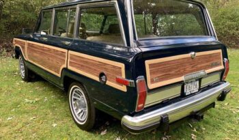 1991 Jeep Grand Wagoneer (25b) full
