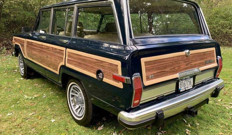 1991 Jeep Grand Wagoneer (25b) full