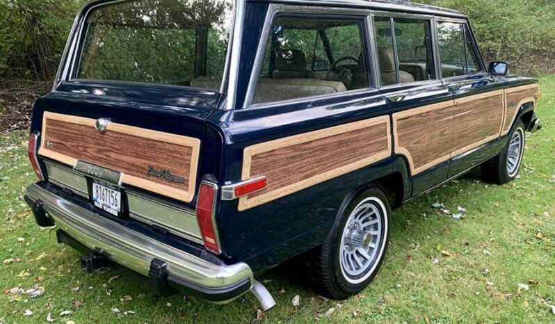 1991 Jeep Grand Wagoneer (25b) full